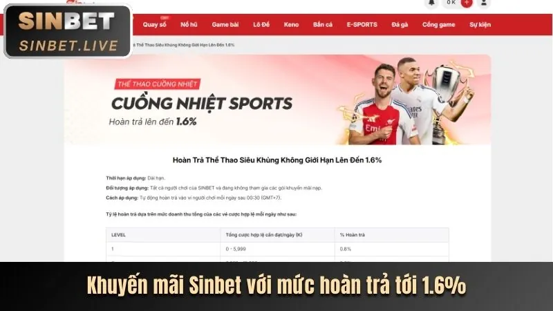 Hình ảnh cá cược thể thao sôi động tại Lucky 8